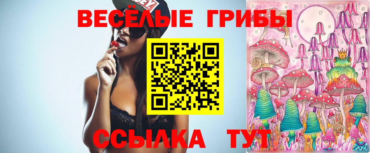 Галлюциногенные грибы Psilocybine cubensis Оренбург
