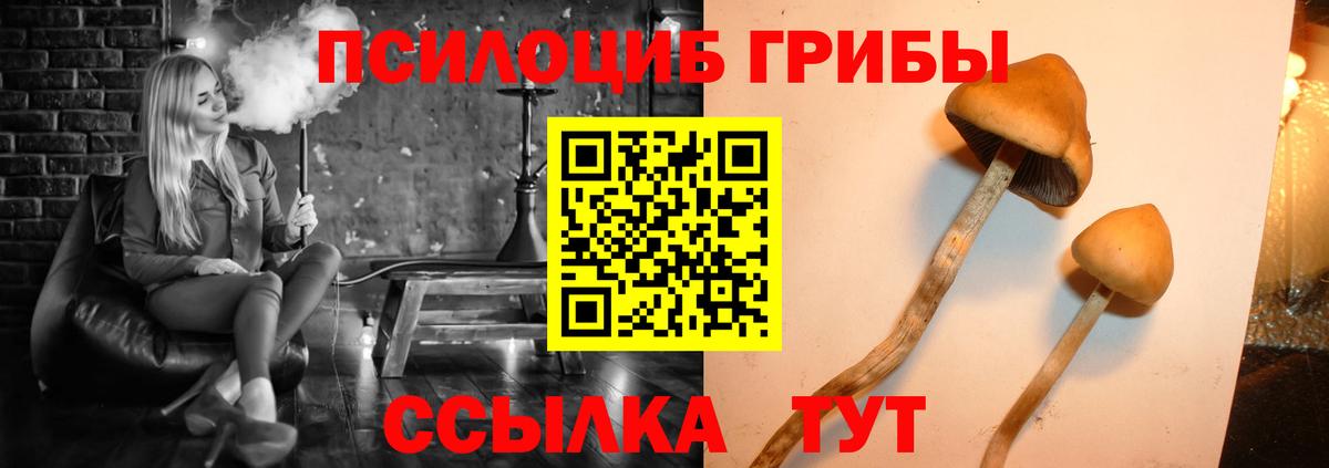Псилоцибиновые грибы GOLDEN TEACHER  Вход с VPN  Галлюциногенные грибы мухоморы  Оренбург 